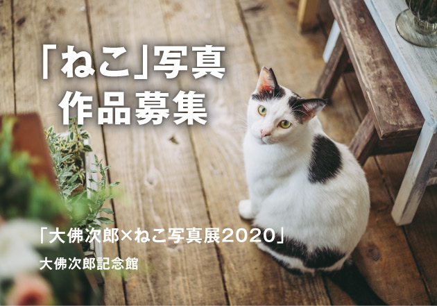 【作品募集】大佛次郎記念館「大佛次郎×ねこ写真展2020」展覧会
