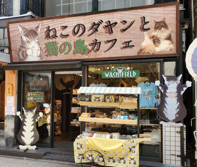 鎌倉小町通りに猫カフェ「ねこのダヤンと猫の島カフェ」がオープン！ Anda アンダ