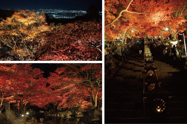 神奈川県 紅葉の名所　伊勢原市大山の紅葉のライトアップ