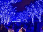 渋谷のイルミネーション 青の洞窟