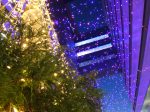 横浜駅東口「はまテラス」「星降るテラス～星に願いを～」