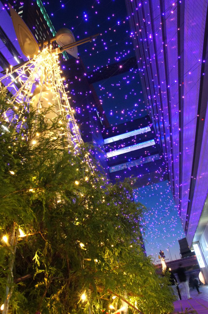 横浜駅東口「はまテラス」「星降るテラス～星に願いを～」