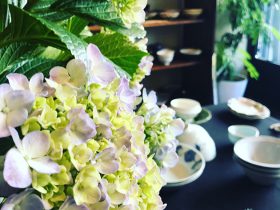茅ヶ崎にある和食器店 日日器さんに飾られた紫陽花