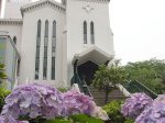 明治5年に設立された日本で最初のプロテスタント教会。横浜海岸教会のあじさい。