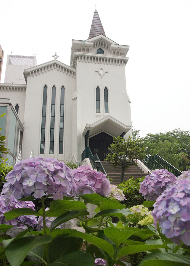 明治5年に設立された日本で最初のプロテスタント教会。横浜海岸教会のあじさい。