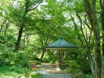 四季折々の自然が楽しめる岡田美術館の庭園