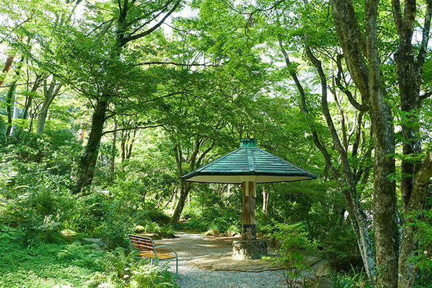 四季折々の自然が楽しめる岡田美術館の庭園