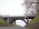 横浜市鶴見区 響橋と桜
