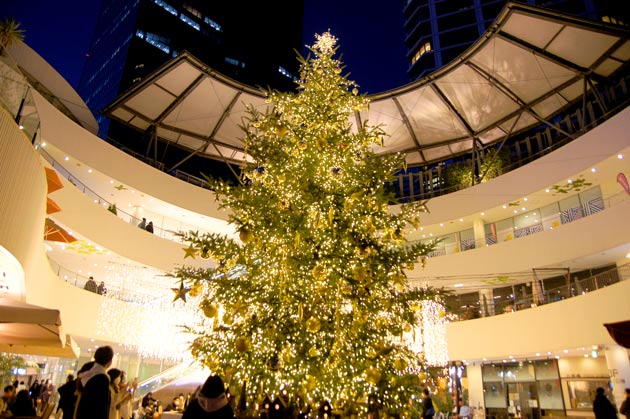 横浜ベイクォーターのクリスマスツリー2021